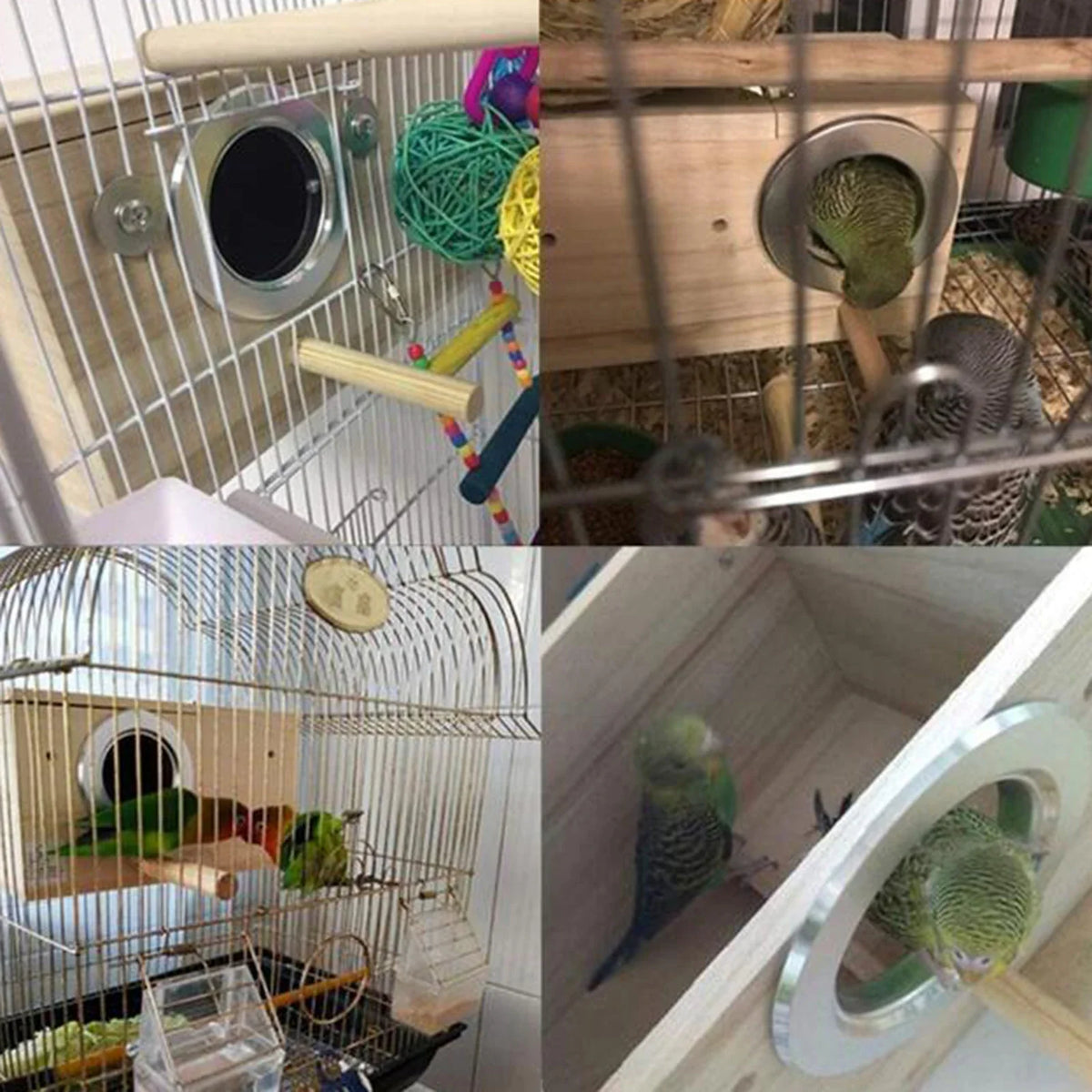 Outdoor Birdhouse Birds Box Nesting Hatching - ProPawPet.com