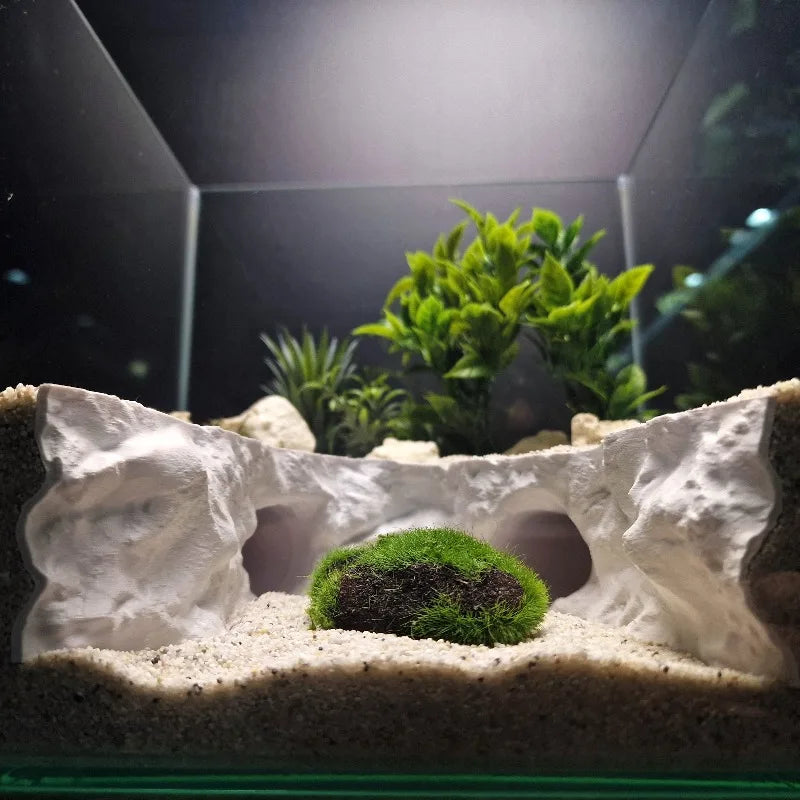 2-in-1 Water & Land Hiding Cave Tunnel for - ProPawPet.com