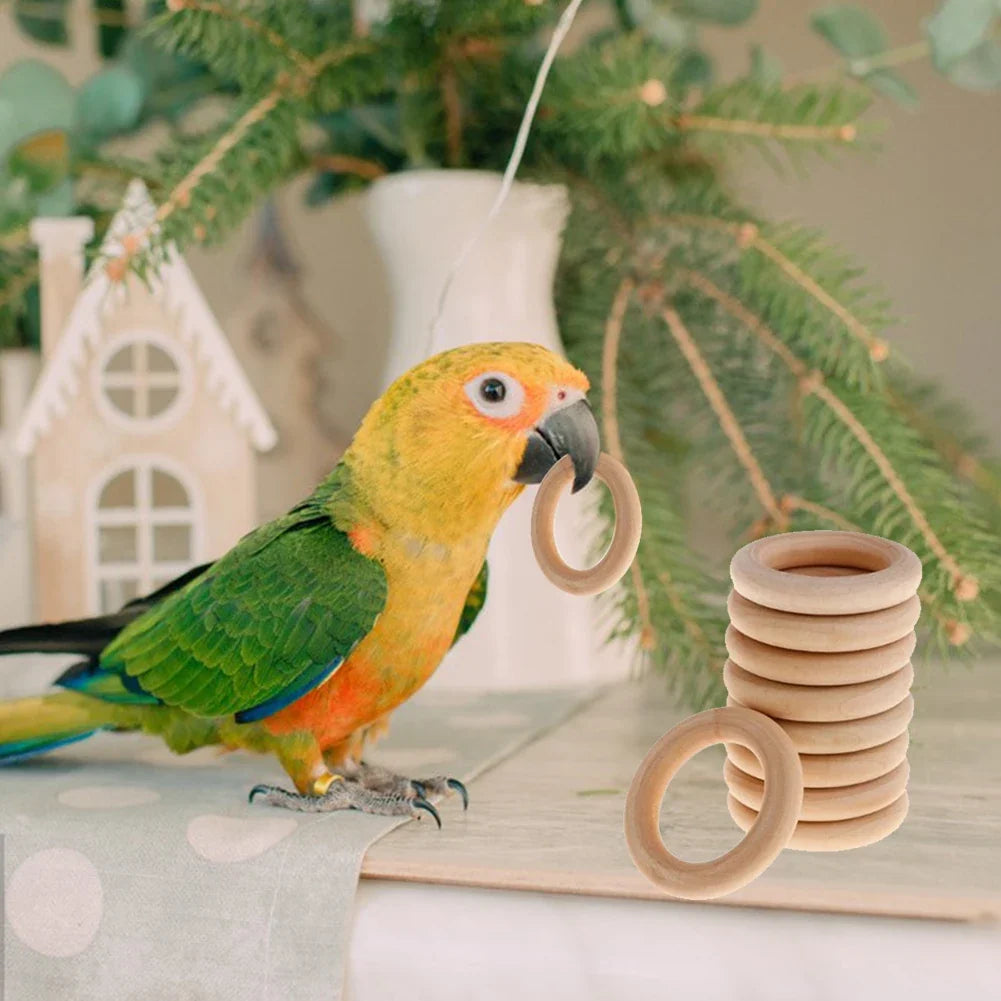 10Pcs Interactive Rattan Balls Parrot Toys - ProPawPet.com