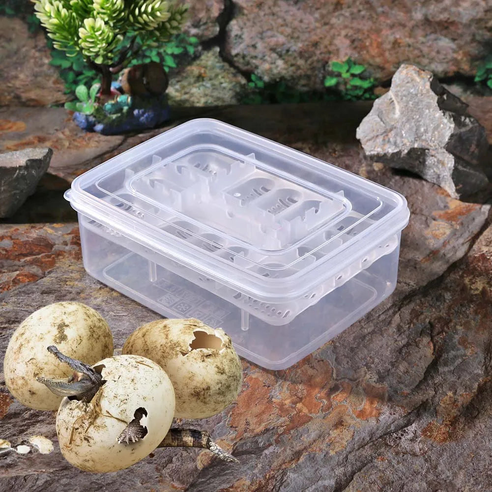 Egg Incubator Box Hatcher Case for Reptiles - ProPawPet.com