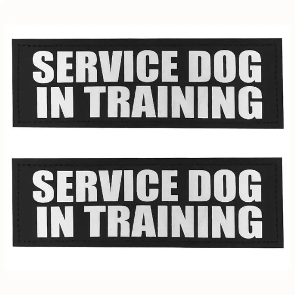 2PCS Custom Logo Dog Name Personalized Dog - ProPawPet.com
