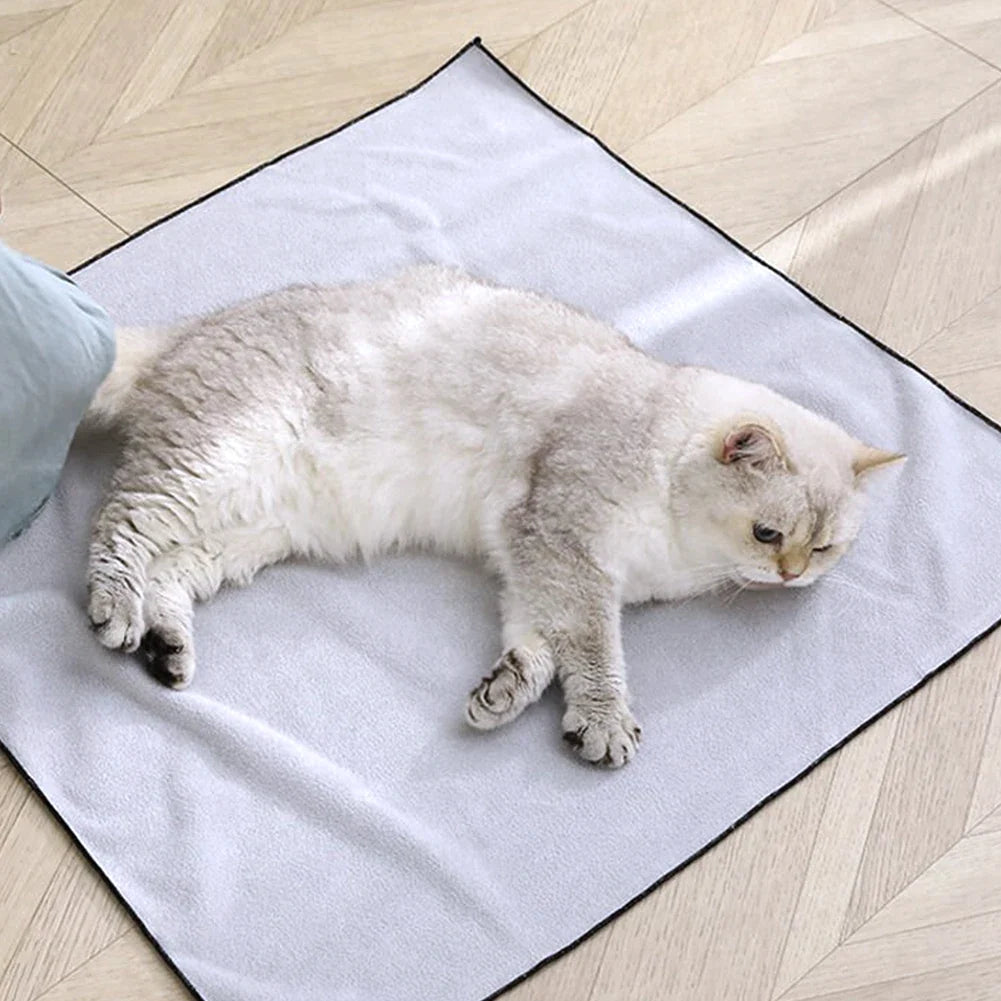 Cat Grooming Wrap Self-Adherent Cat - ProPawPet.com