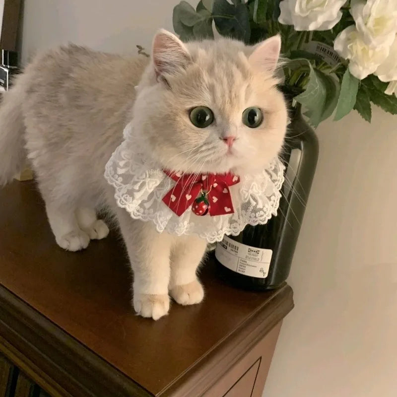 Cat Dog Collar Silk Wedding Cat Puppy Ribbon - ProPawPet.com