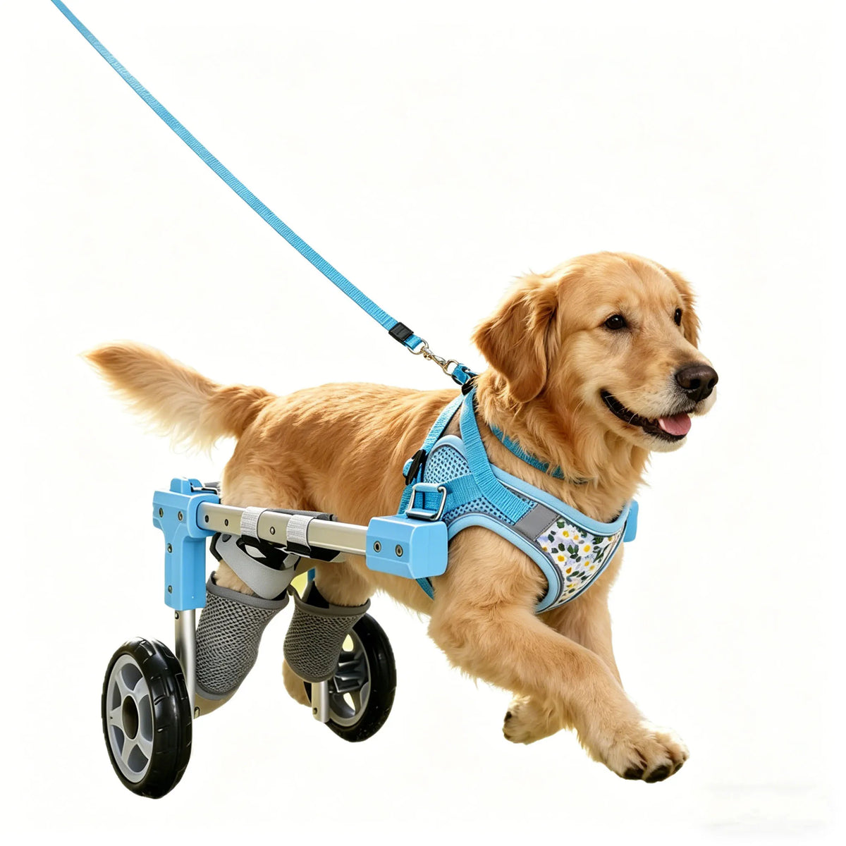 Pet Dog Wheelchair Cart Adjustable Pet - ProPawPet.com