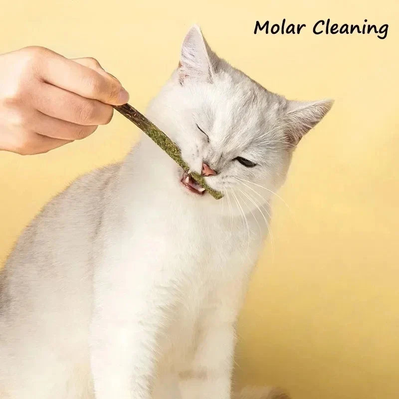6-30pcs Natural Cat Stick Mint Caught Bite - ProPawPet.com