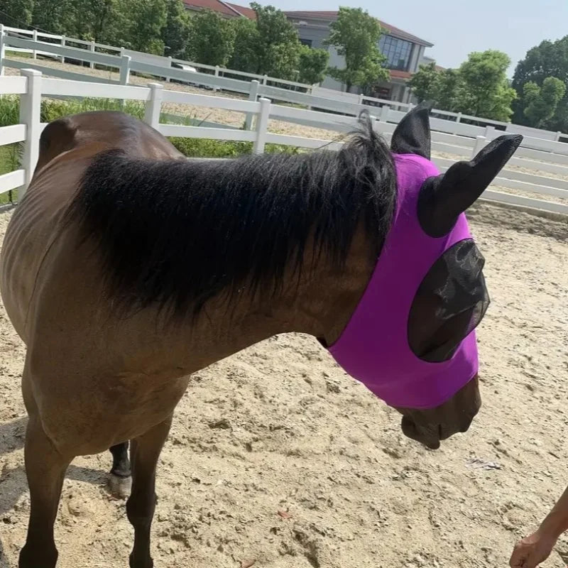 Horse face mask, horse face protective mask, - ProPawPet.com