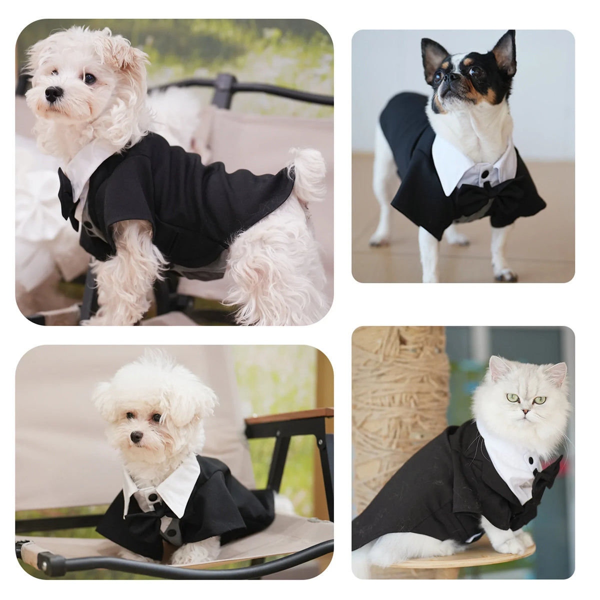 Dog Tuxedo Wedding Suit Shirt with Bow Tie, - ProPawPet.com