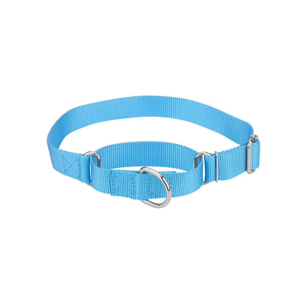 Martingale Collar for Dogs,Dog Collar with - ProPawPet.com