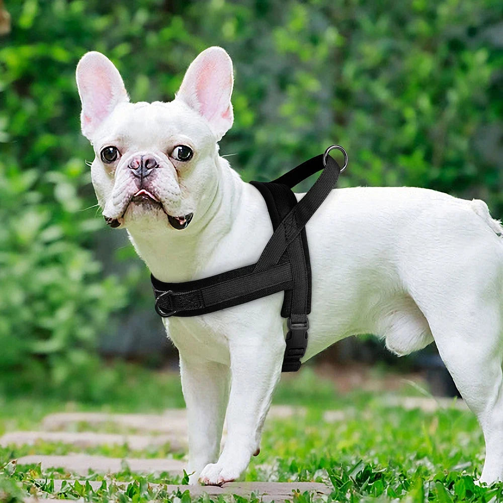 Nylon Padded Dog Harness Vest – photo 4