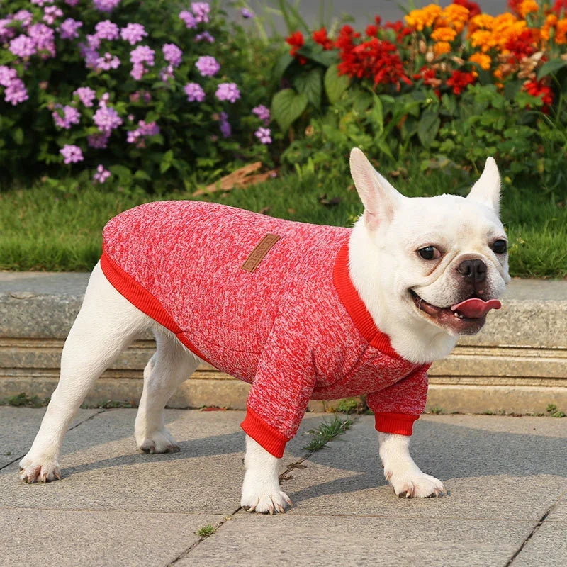 Pet Accessories Winter Dog Clothes for Small - ProPawPet.com
