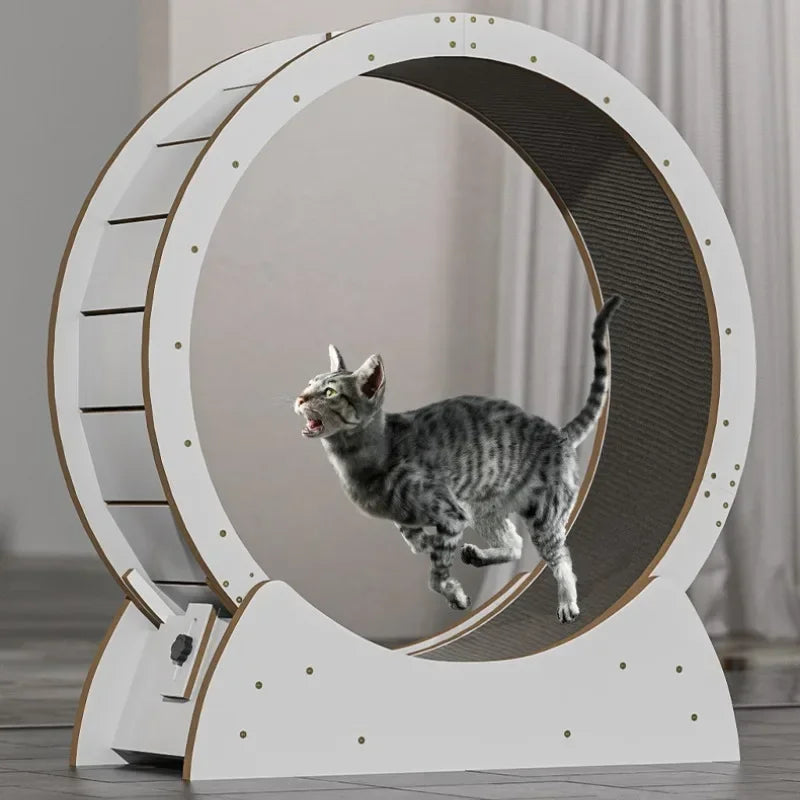 Solid Wood Cat Treadmill with Silent - ProPawPet.com