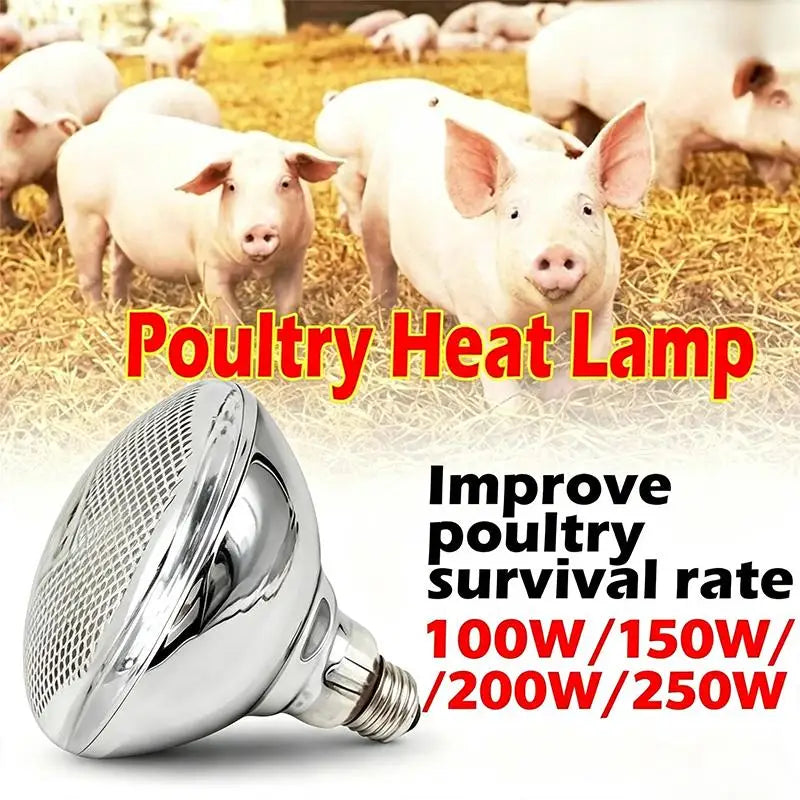 Infrared Heat Lamp Bulb for Brooder - ProPawPet.com