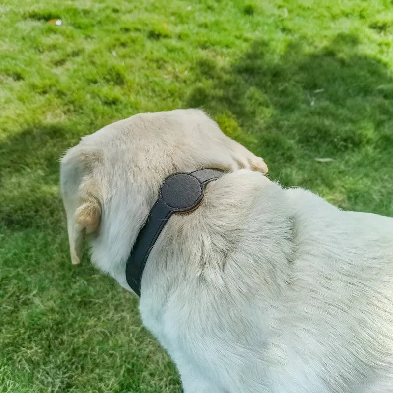 Leather AirTag Cat Collar-Non Breakaway - ProPawPet.com