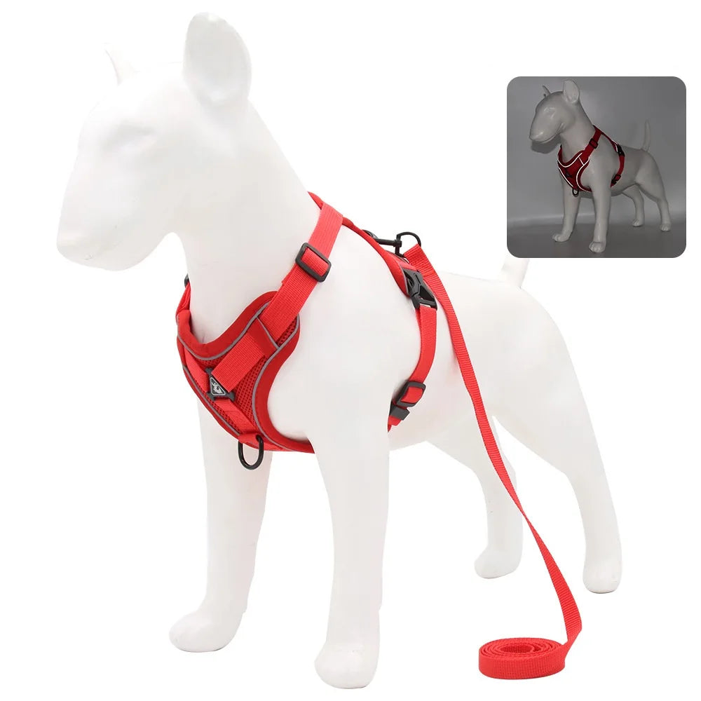Harness and Leash Set Pet Accessories Dog - ProPawPet.com
