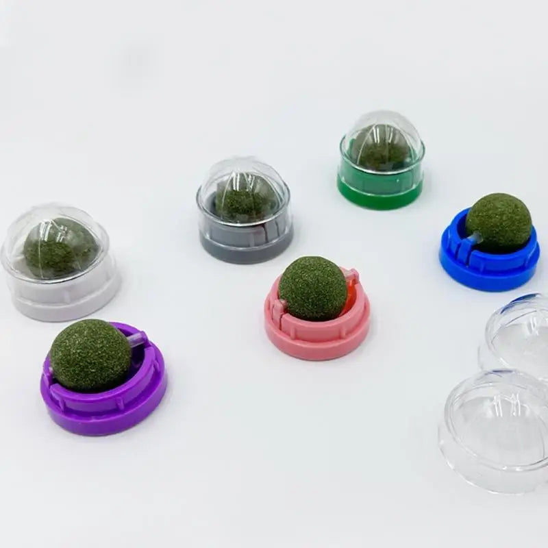 Set Of 3 Interaction Cats Chew Toy Cats Mint - ProPawPet.com