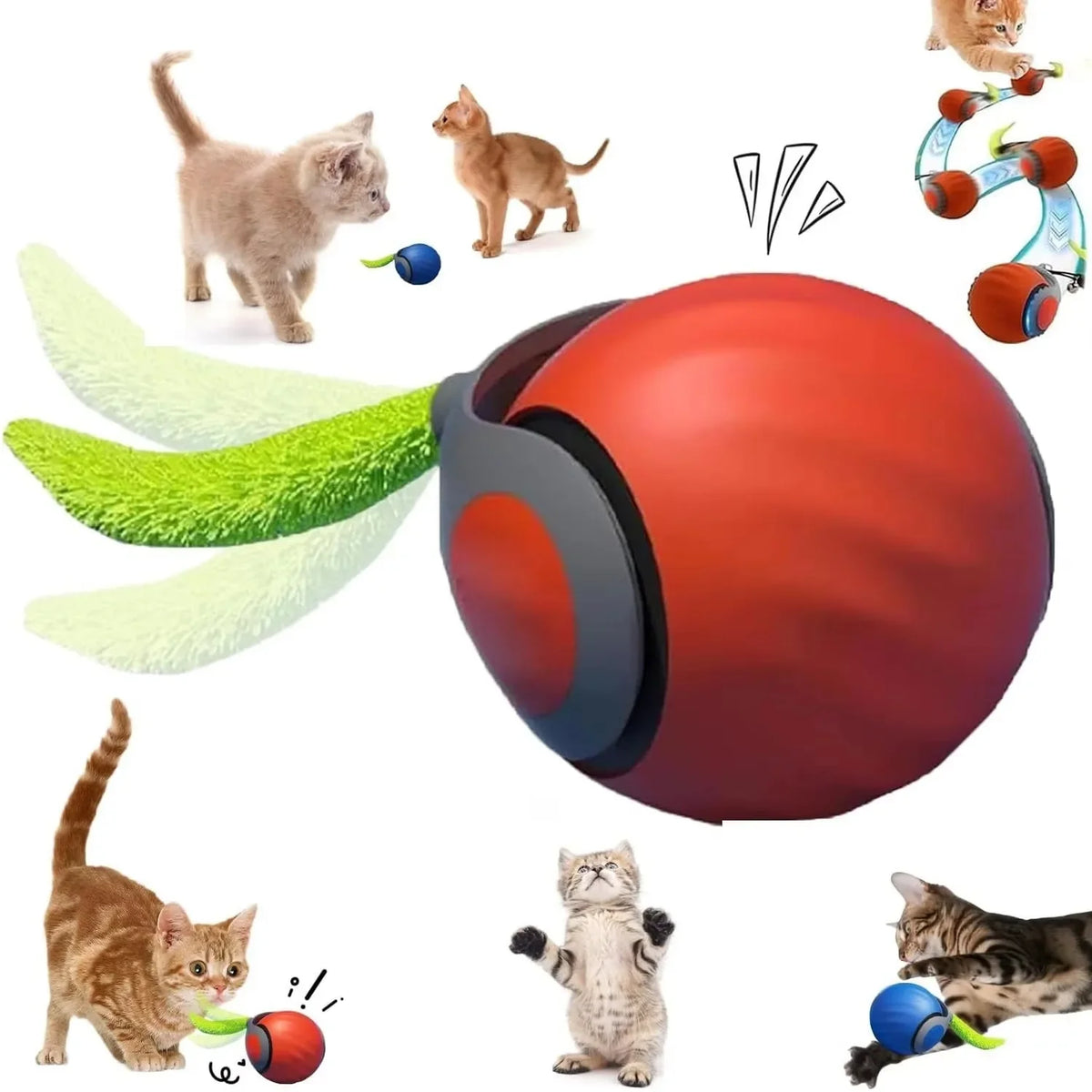 Indoor Interactive Birds Toy for Cat Chasing - ProPawPet.com