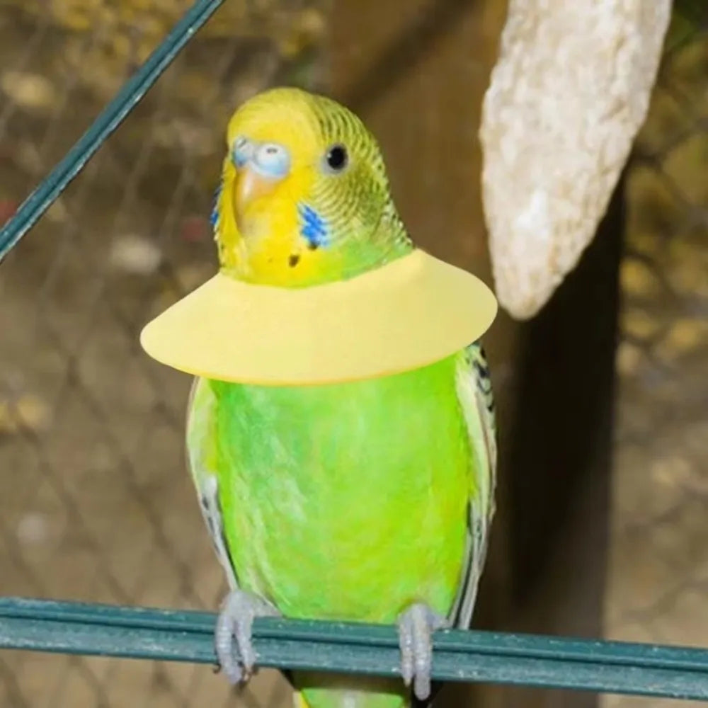 Anti Bite Bird Elizabethan Collar Breathable - ProPawPet.com