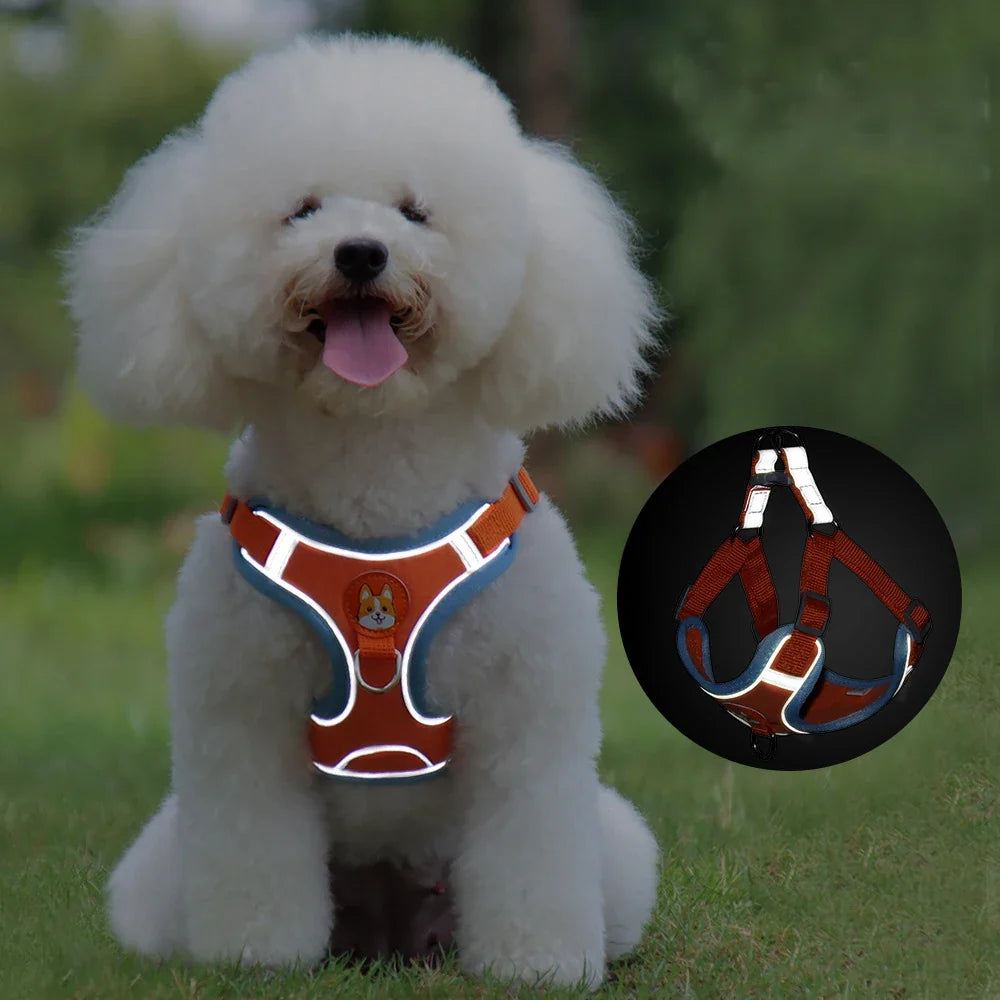 Cat Harness Small Dog Leash Pomeranian Puppy - ProPawPet.com
