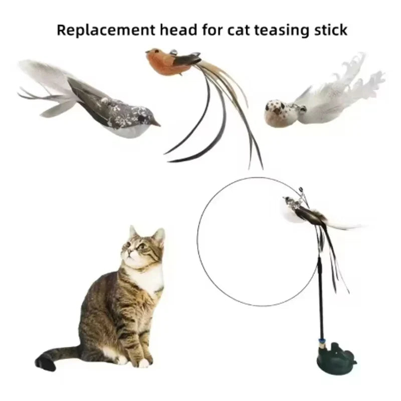 Cat toys cat self-sexy feather suction cup - ProPawPet.com