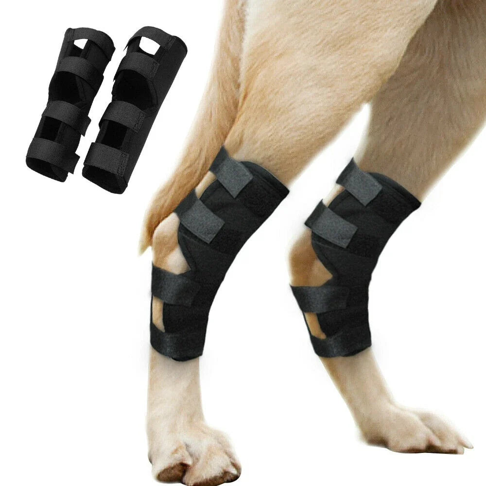 1 Pcs Breathable Dog Support Brace Joint - ProPawPet.com