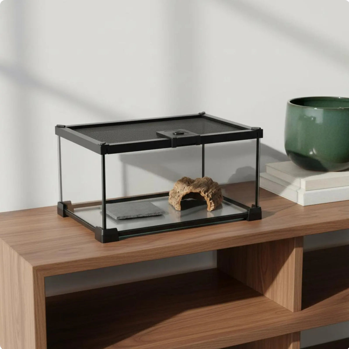Glass Amphibian Terrarium – 8 Colors