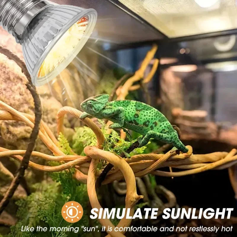 25/50/75W UVA UVB Reptile Lamp Bulb Turtle - ProPawPet.com