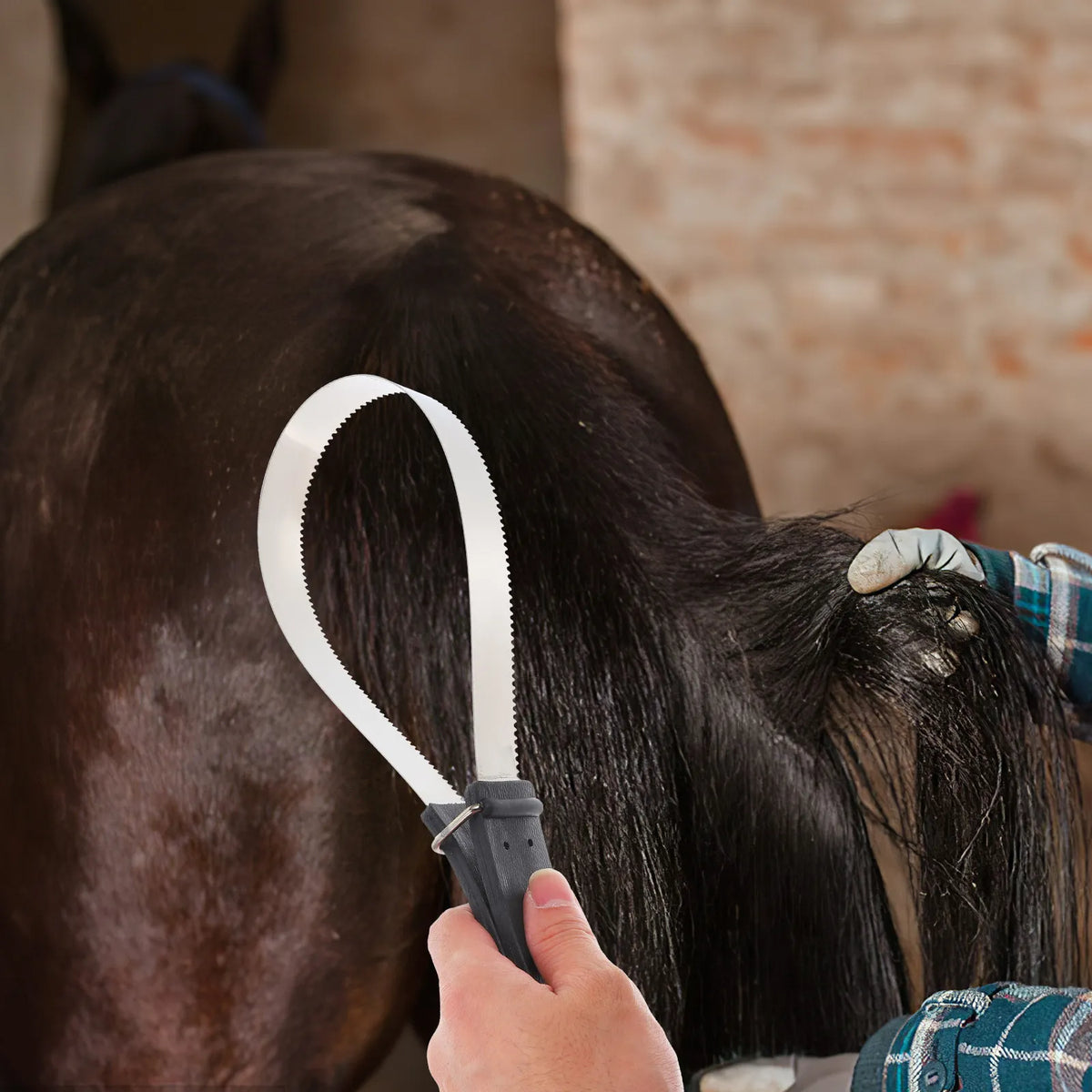 Heavy Duty Stainless Steel Horse Grooming - ProPawPet.com