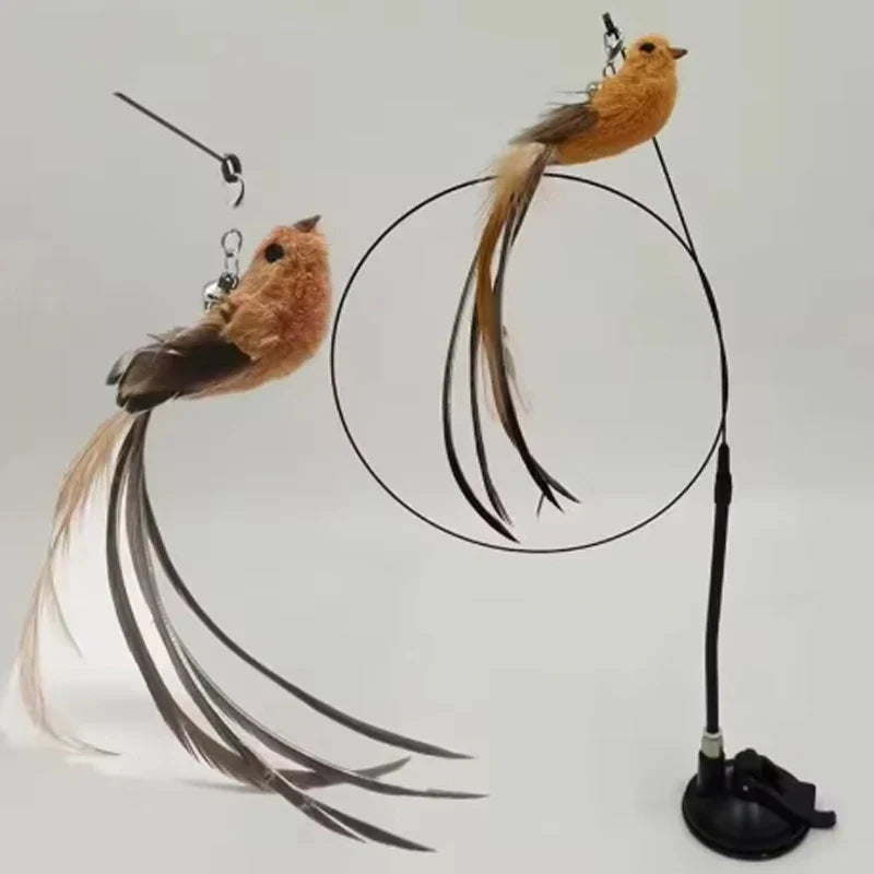 Cat toys cat self-sexy feather suction cup - ProPawPet.com