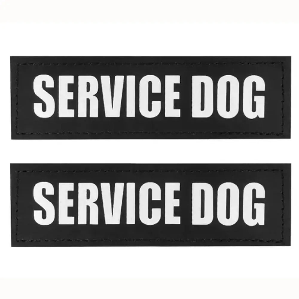 2PCS Custom Logo Dog Name Personalized Dog - ProPawPet.com