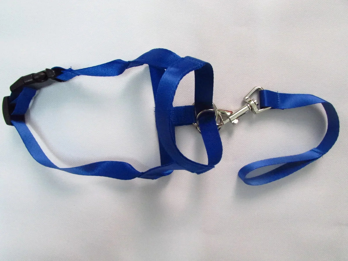 New Nylon Dog Muzzle Dogalter Dog Halter - ProPawPet.com