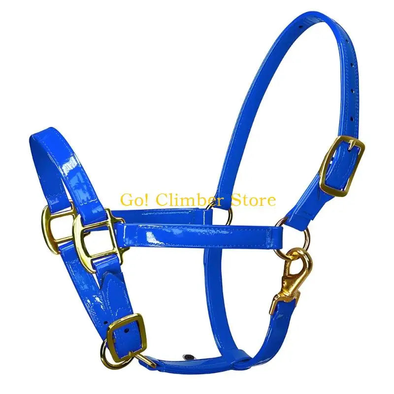 Waterproof Q84c Quality Fashionable Leather Horse Headgear Bridle – 8 Colors