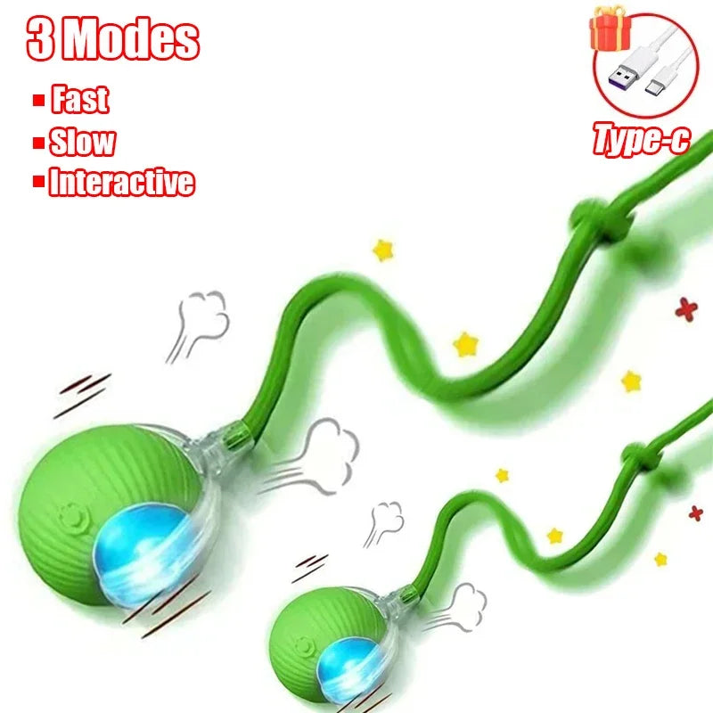 1 Cat Interactive Ball Toy – Cat Toys & Play