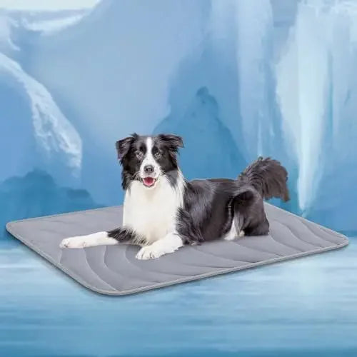 Double-Sided Gentle Wear Resistant Pet Ice - ProPawPet.com