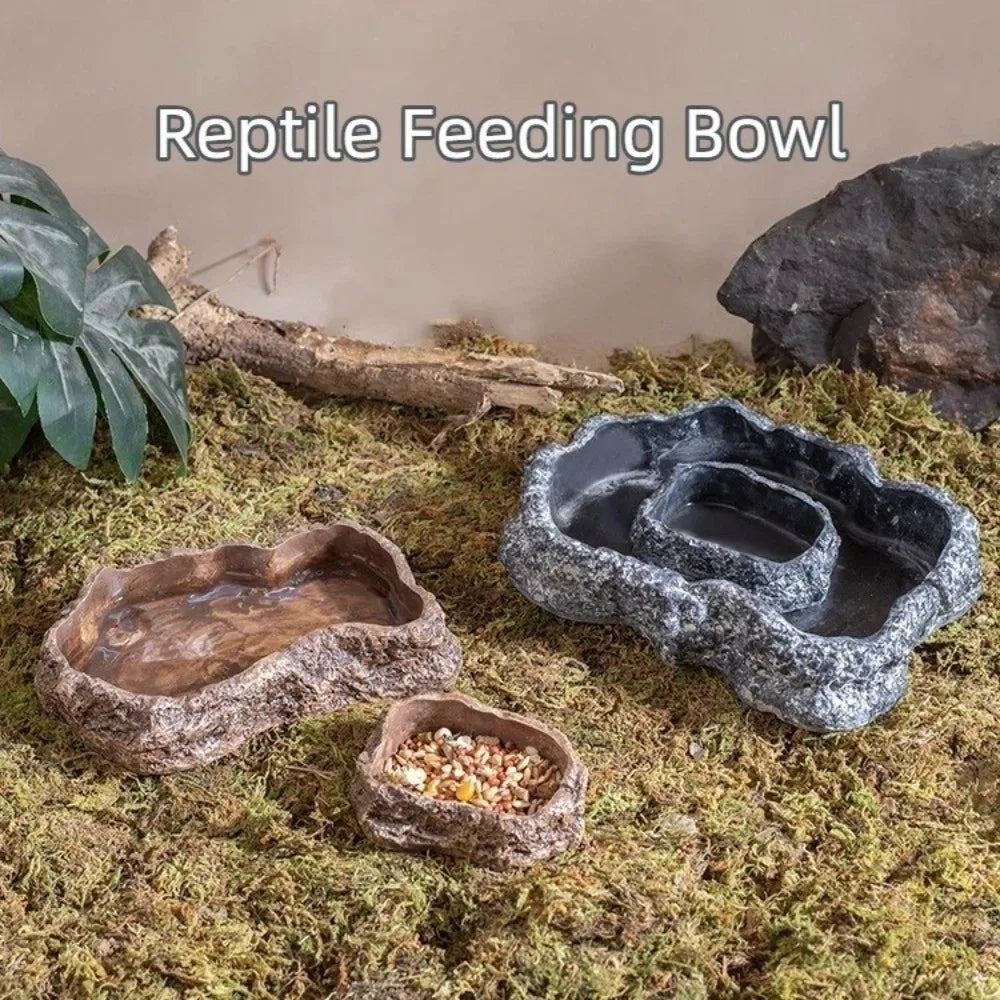 Simulated Rock Reptile Food Bowl Multiple - ProPawPet.com