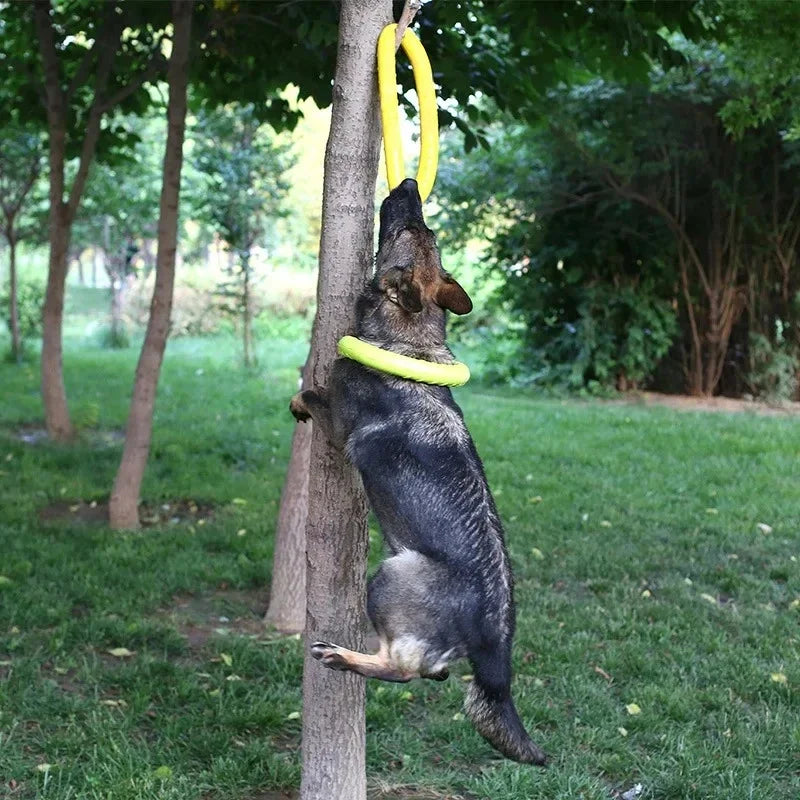 Dog Toys Pet Flying Discs EVA Dog Training - ProPawPet.com