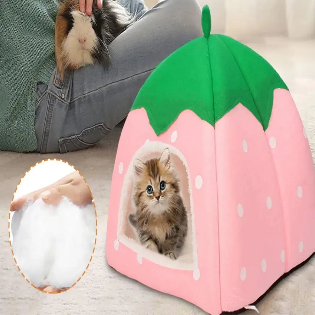 Bright Colored Pet Bed Space Pet Bed Cozy - ProPawPet.com