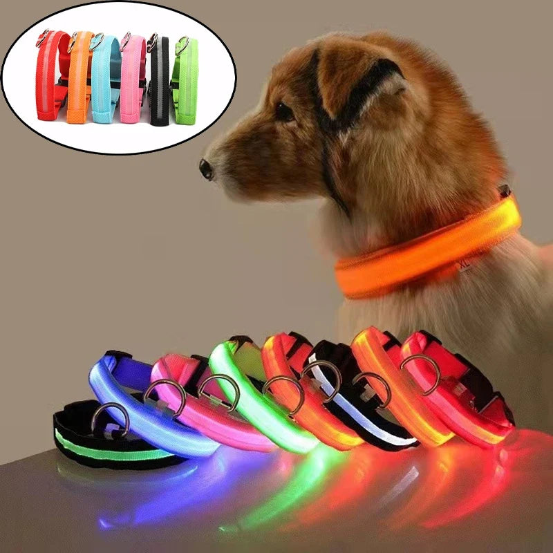 Reflective Nylon LED Pet Dog Collar Safety - ProPawPet.com