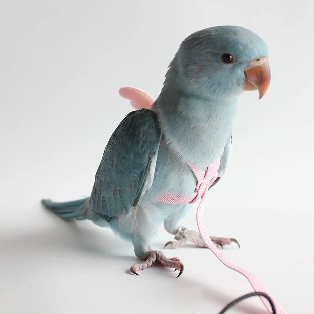 Anti-bite Flying rope Bird Supplies Lovebird - ProPawPet.com