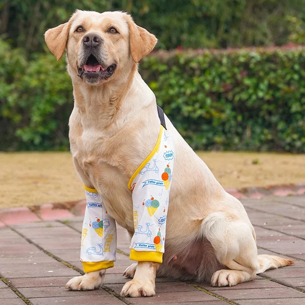 Pet Knee Pads for Joint Injury Recovery Legs - ProPawPet.com