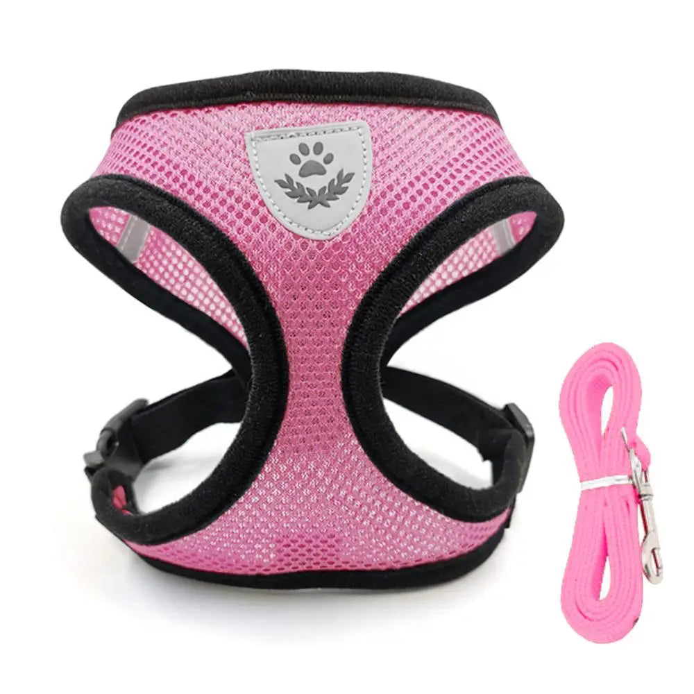 Safe Premium Adjustable Cat Harness and - ProPawPet.com