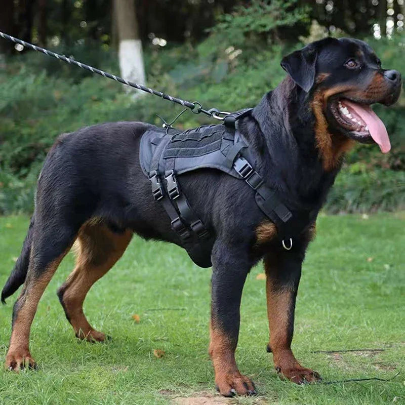 Heavy DutyTactical Leash Set Dog Harness for - ProPawPet.com