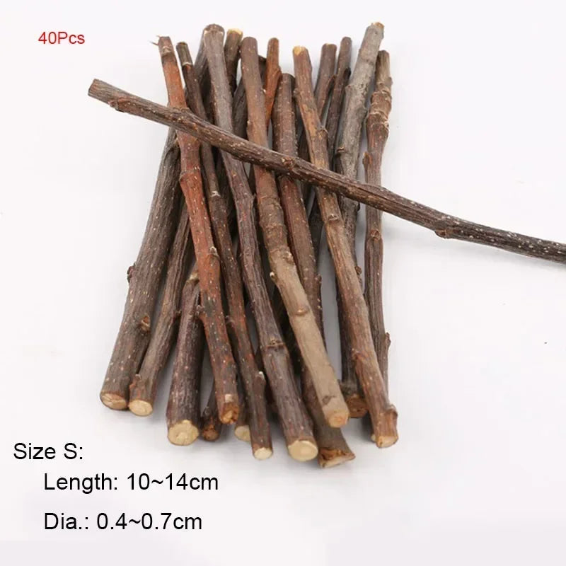 Chew Stick Apple Tree – Bird Supplies