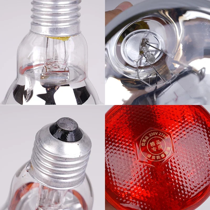 220V Heating Light Bulb Poultry Reptile - ProPawPet.com