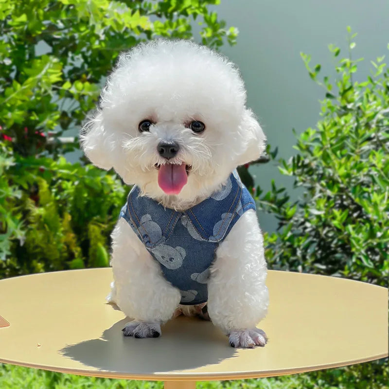 Denim Dog Harness and Lesh Set Pet Clothes - ProPawPet.com