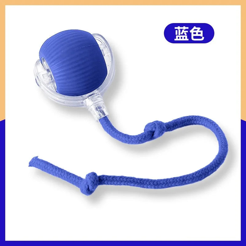 Rechargeable Dog & Cat Interactive Ball Toy