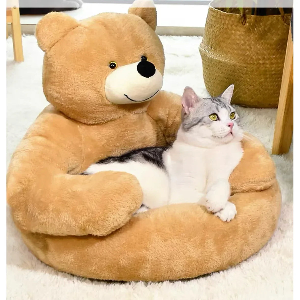 Cute Bear Sofa, Semi-Enclosed Pet Dog Bed - ProPawPet.com