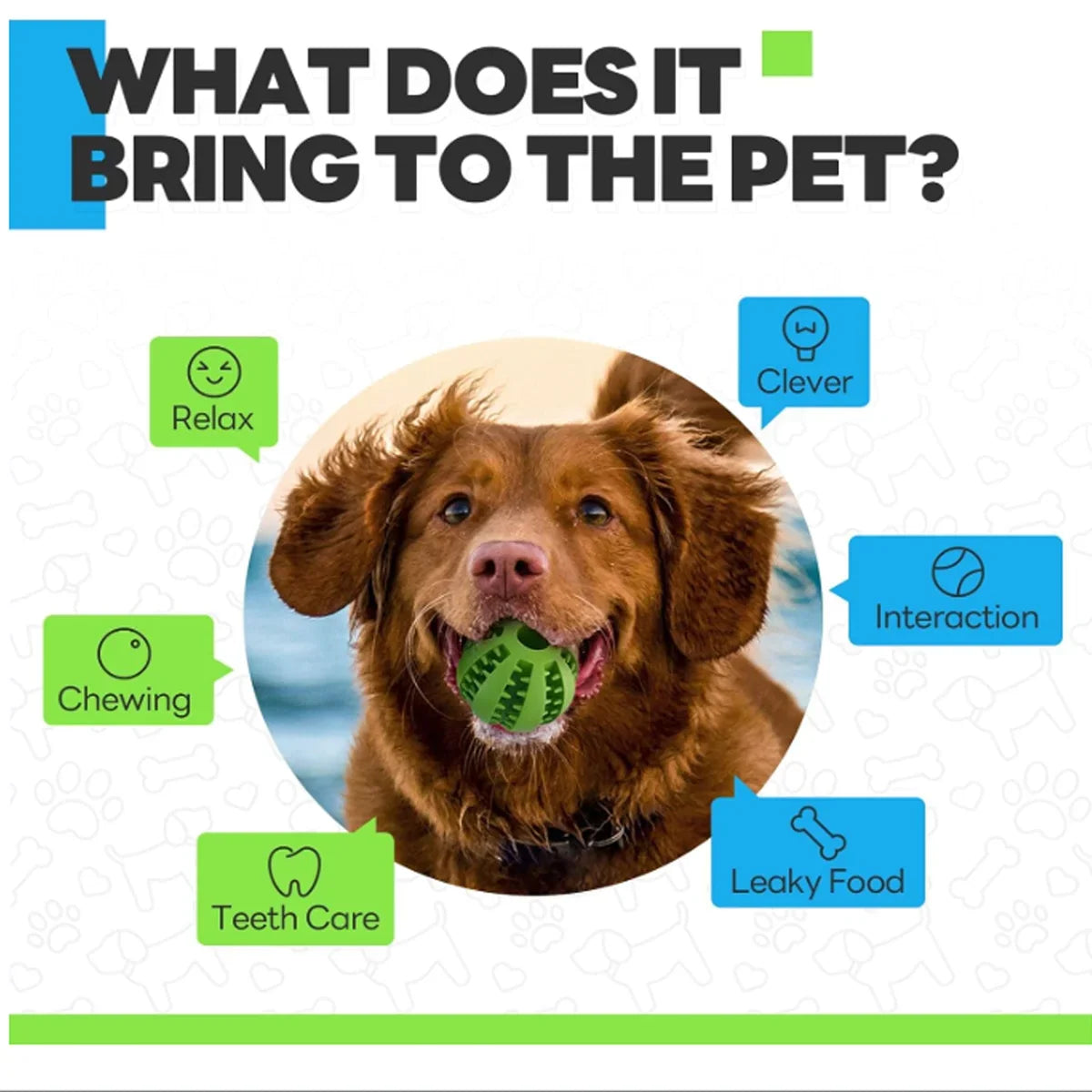 Dog Teeth Cleaning Toy, Interactive Food - ProPawPet.com