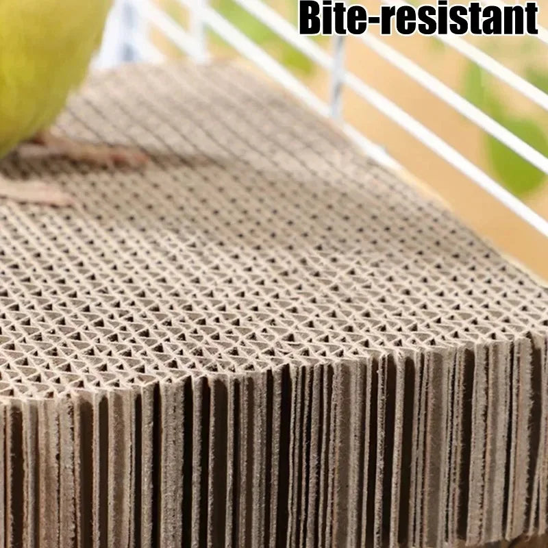 Thickened Cardboard Parrot Platform Beak - ProPawPet.com
