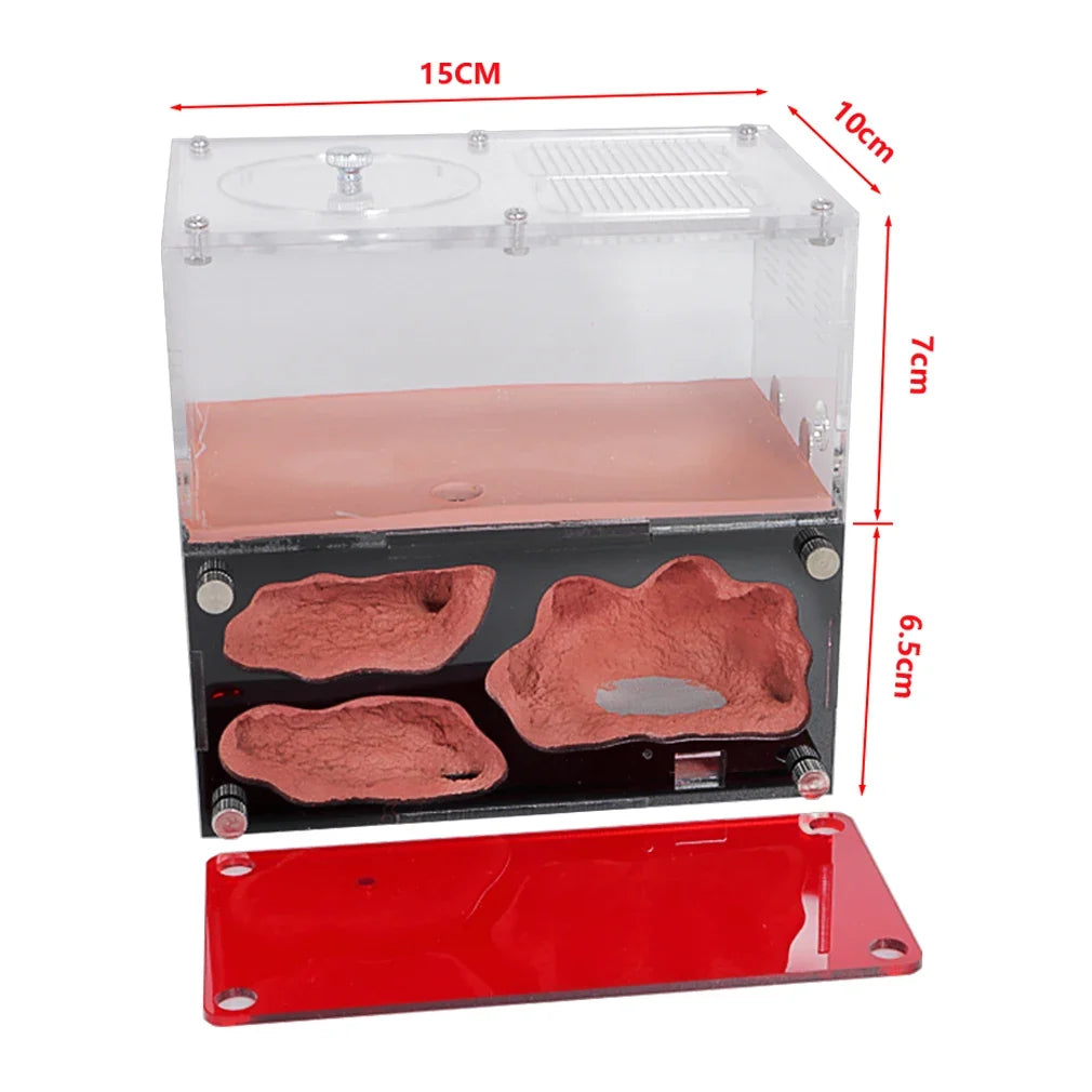 Acrylic Ant Farm Temperature Control - ProPawPet.com