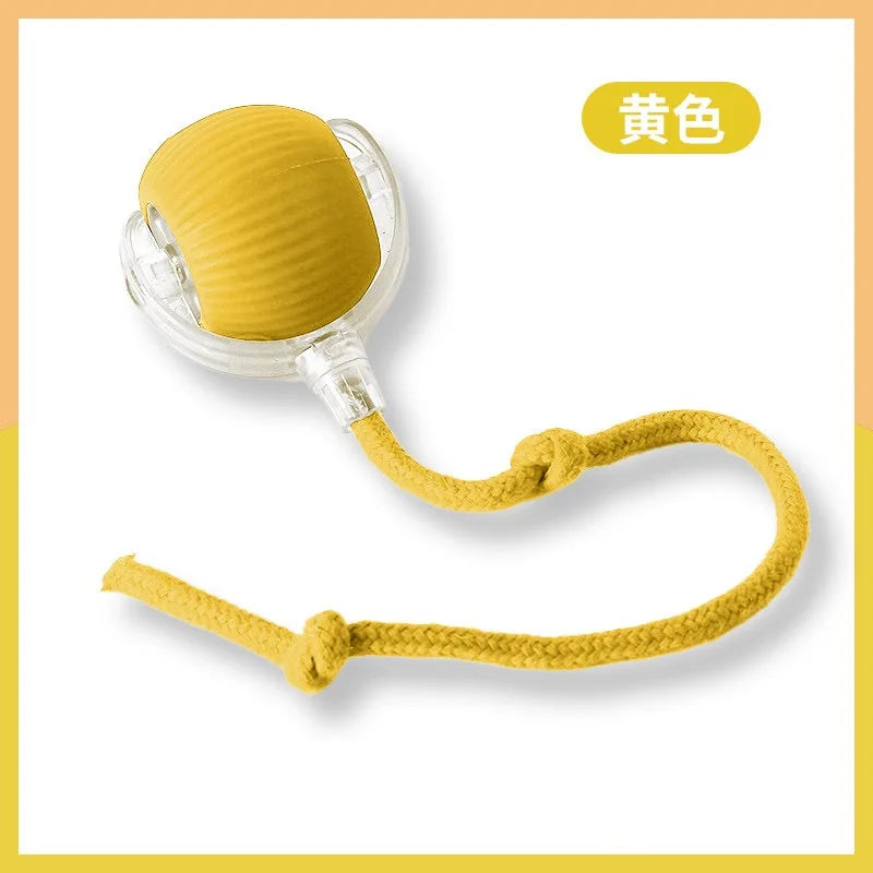 Rechargeable Dog & Cat Interactive Ball Toy